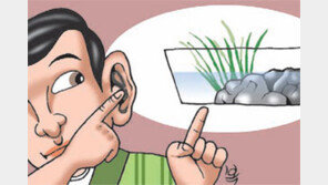 [헬스&뷰티/이상곤 박사의 맛있는 동의보감 이야기]<6> 석창포, 귀와 머리를 맑고 총명하게…