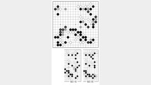 [바둑]제56기 국수전… 83, 85 새 영토 개척