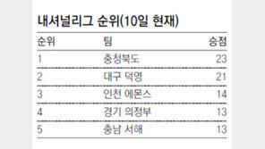 충청북도-대구 덕영, 아마 최고 가린다