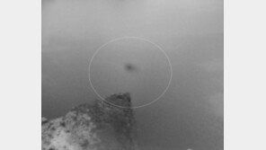 중국언론 “백두산 천지 괴물 또 포착” 보도