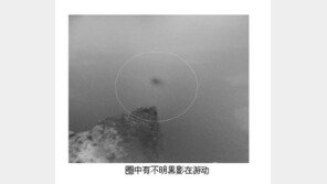 백두산 천지 굉음, “백두산 천지 괴물이 실제로 있다고?”