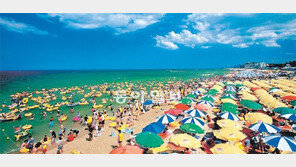 [Money&Life]똑똑한 보험특약 덕에 휴가길 교통사고 걱정 덜었네