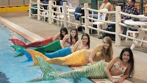 인어공주 꼬리 수영복 화제…‘나도 인어공주 될 수 있다’