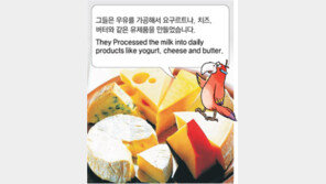 [신문과 놀자!/동아일보 기사로 배우는 영어 한마디]7월 11일