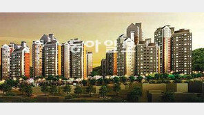 [Home&Dream]분양권 전매 가능 세종시 아파트, 대림산업 ‘세종 e편한세상’