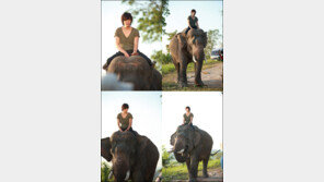 인간에게 치명적인 동물 리스트에 코끼리가? 의외네