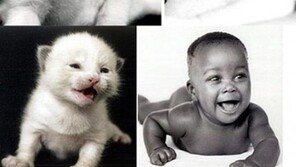 서로 닮은 아기와 고양이, “어떻게 이렇게 똑같지? 설정 아닌가?”