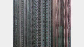 렉 걸린 아파트 ‘경악’ “땅은 좁고 사람 많아… 새장 같아”