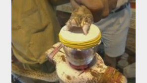 겨우 뱀독 한방울에 피가 젤리처럼…실험영상 ‘충격’