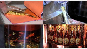 금으로 만든 ‘황금 맥주’ 건강에도 긍정적! “마셔보고 싶네”