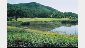 골프장이야? 온천장이야?