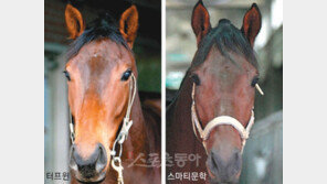 터프윈 vs 스마티문학…5억을 향해 달려라