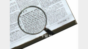 [이슈 점검]정치권 달구는 ‘경제민주화’의 두 얼굴