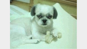 나갈 때 엄마의 눈빛, 포스가 장난 아니네 