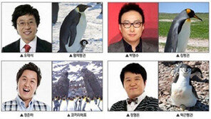 무한도전 펭귄 되면, 싱크로율 100% ‘누리꾼 폭소’