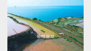 [광주/전남]‘슬로시티’ 청산도, 구들장 논 명물로