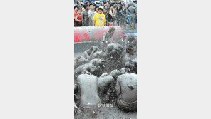 “진흙에 빠져 더위를 날려요”