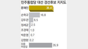 [약속 2012 대선 여론조사]문재인 ‘1强’… 손학규 16.8-김두관 6.5%