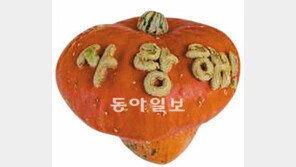 “호박 껍질에 글자 새긴다고?”