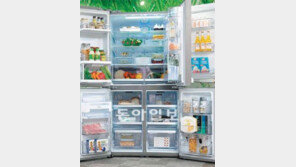 지펠 vs 디오스 ‘냉장고 크기 전쟁’