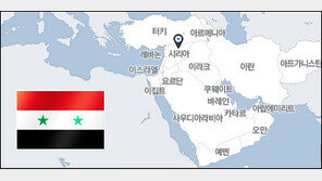 내전으로 국민들 죽어가는데 수억대 쇼핑한 무개념 영부인!