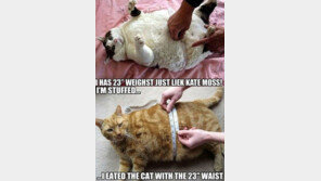 23인치 허리의 위엄, 날씬한 여성인 줄 알았는데… ‘깜짝’