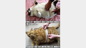 23인치 허리의 위엄 ‘살 좀 빼자?’