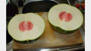 수박 환불, 반으로 쪼개보니 속살 ‘텅 비웠네’