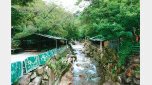 식당 가건물 사라지고 송추계곡물 되살아난다
