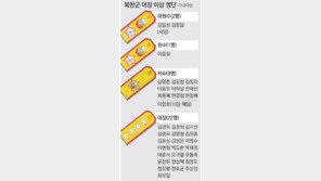 [北 이영호 숙청 이후]차수 승진 현영철은… 2010년 김정은-최룡해와 함께 대장 달아