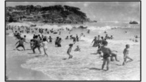 [영상] “훌러덩 벗고 한강물에” 50년대 초복 풍경