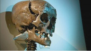 [TV 하이라이트]통일신라시대 우물의 비밀