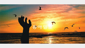 [사이언스 경북]호미곶의 아침 해처럼… 노벨상의 꿈이 떠오른다