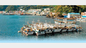 [대구/경북]樂이 넘치는 독도, 力이 넘치는 울릉도