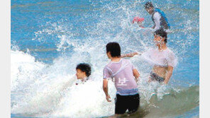 장맛비 사이로… 틈새 더위사냥