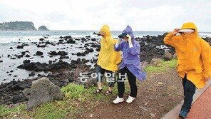 비바람 몰아쳐도 올레!