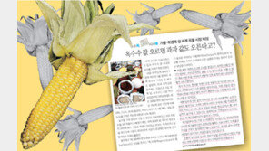 [신문과 놀자!]옥수수 가격이 한없이 올라갈 때… 늘어나는 농부의 한숨을 계산하라?