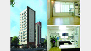 더블역세권 3·3㎡ 당 367만원!