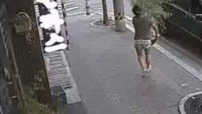 화분 훔진 여성, 네티즌 압박에 결국 자수