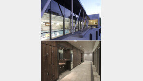 女수영선수 알몸 훔쳐보려던 20대 男 결국…