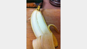 쌍쌍 바나나, “보자마자 딱 떠오른 건 뭐?”