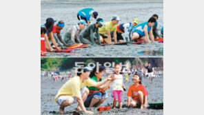 [광주/전남]질퍽한 축제한마당, 갯벌이 즐거워진다