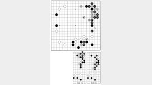 [바둑]제56기 국수전… 정석이지만… 
