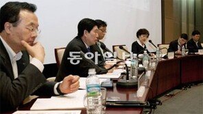 “에너지 분야도 ‘금광시대 청바지’ 필요” 국과위 ‘에너지 R&D 토론’