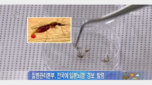 일본뇌염 경보, 일본뇌염 모기 개체 두 배 가까이 증가, “이유는?”