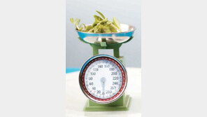 [O2/다이어트의 불편한 진실]<끝> 운동은 체중감량에 만능인가