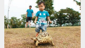 [TV 하이라이트]변비로 고생하는 육지거북