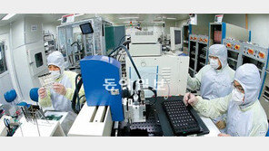 [R&D가 미래다]투자·인재확보·해외진출, 한국기업 R&D에 다 걸다