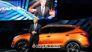 현대차, 싼타페 그 이상의 프리미엄 CUV 개발중?