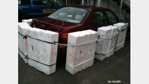 긁힐 염려 없는 주차법 ‘폭소’… “넘치는 자동차 사랑”  